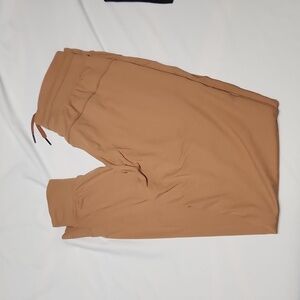 Zyia Ascend Joggers